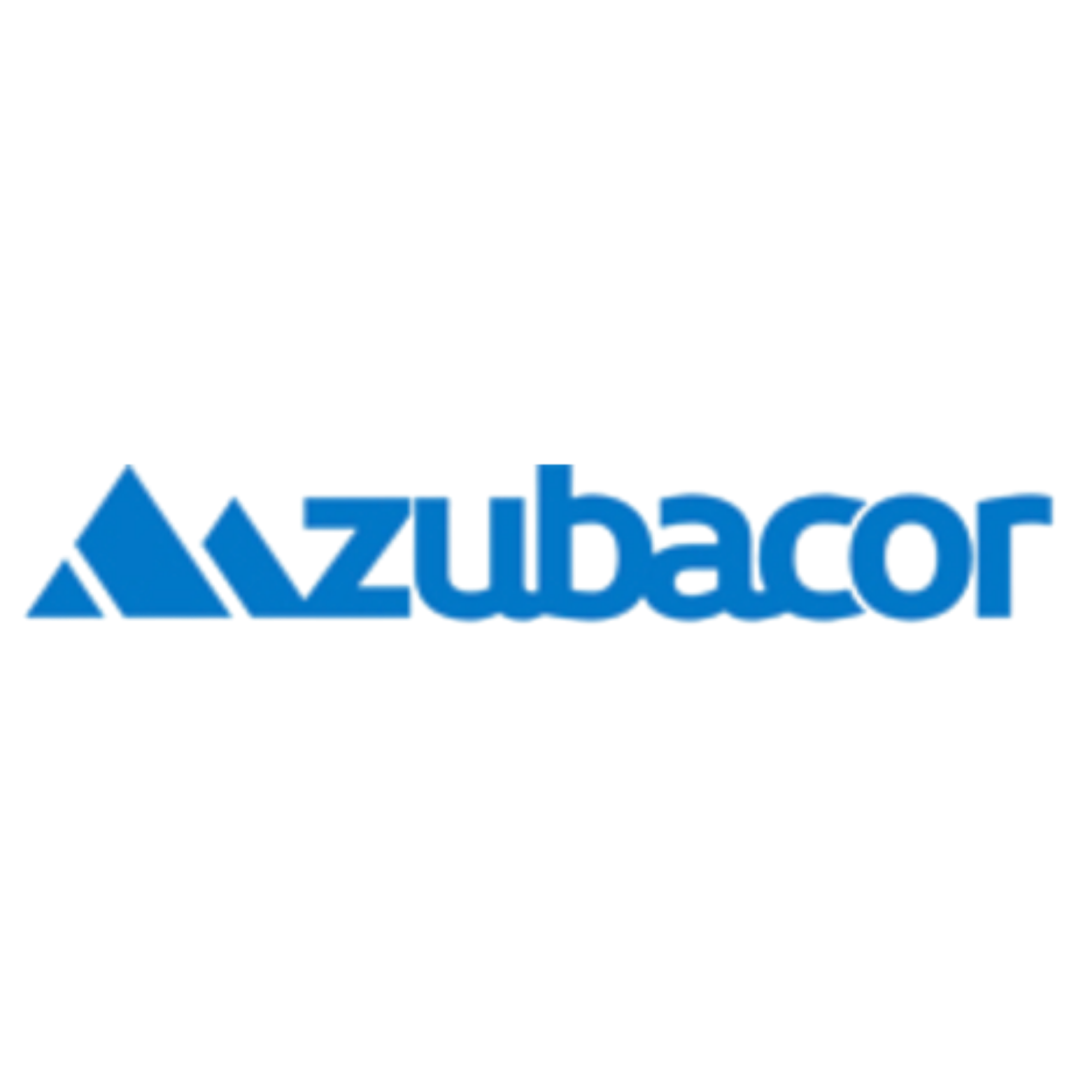Zubacor logo partner