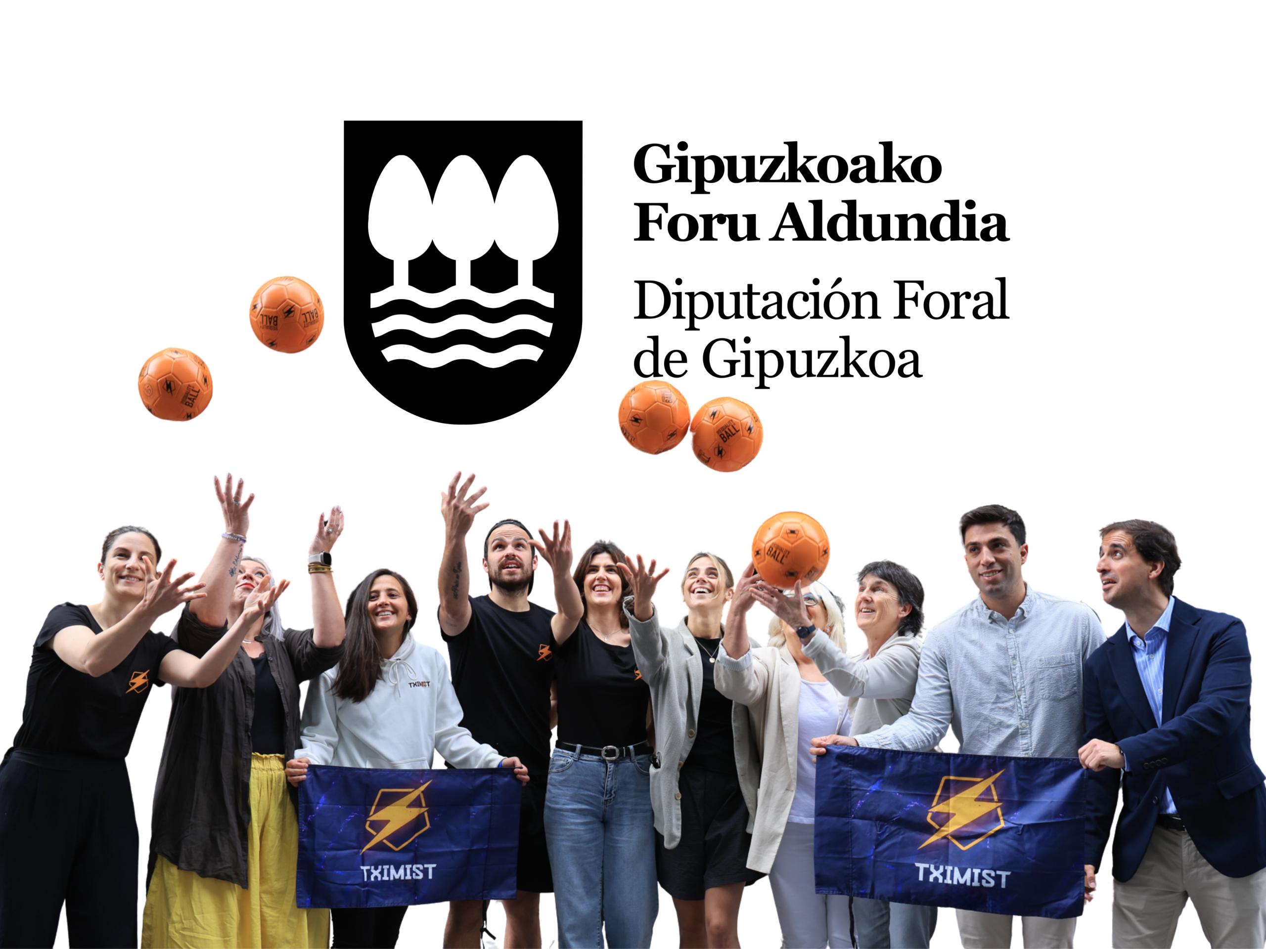 actividad prioritaria, mecenazgo, activity, priority, sponsorship, prioritaire, jarduera, lehentasunezko